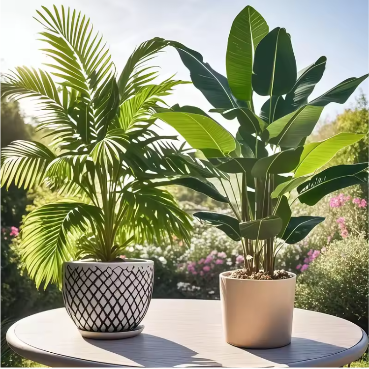 Kunstplanten set van 2 met palm en banaan, 82 cm hoog, onderhoudsvrij en van kunststof, voor woonkamer en kantoor | Covesville